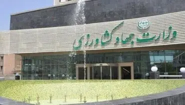 تقدیر تشکل‌های کشاورزی از اقدامات بازرگانی وزارت جهاد کشاورزی