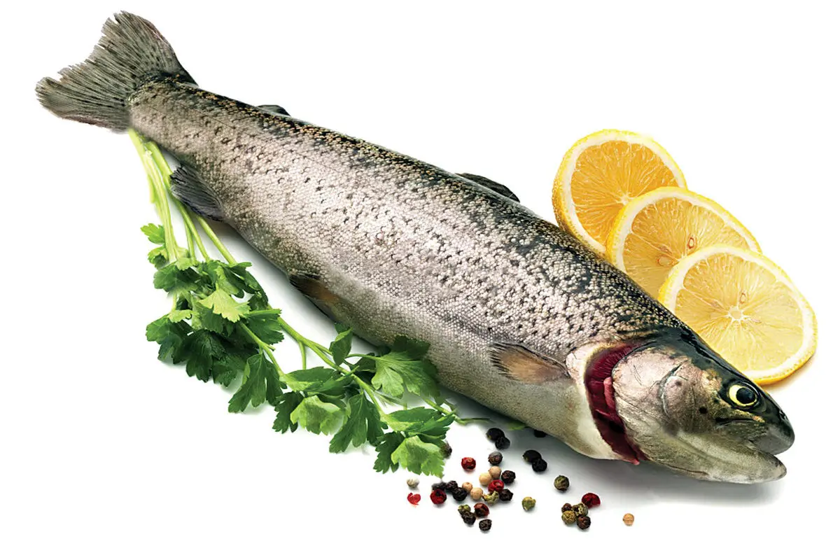 ماهی تازه و سالم چه نشانه‌هایی دارد؟