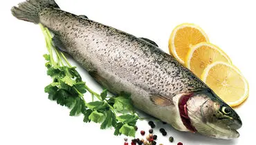 ماهی تازه و سالم چه نشانه‌هایی دارد؟