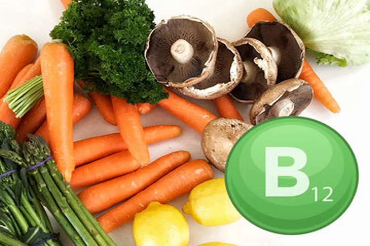 منابع گیاهی ویتامینهای B12 برای گیاهخواران