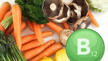 منابع گیاهی ویتامین‌های B12 برای گیاه‌خواران

