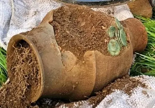  کشف کوزۀ حاوی 15 هزار سکه رومی + عکس
