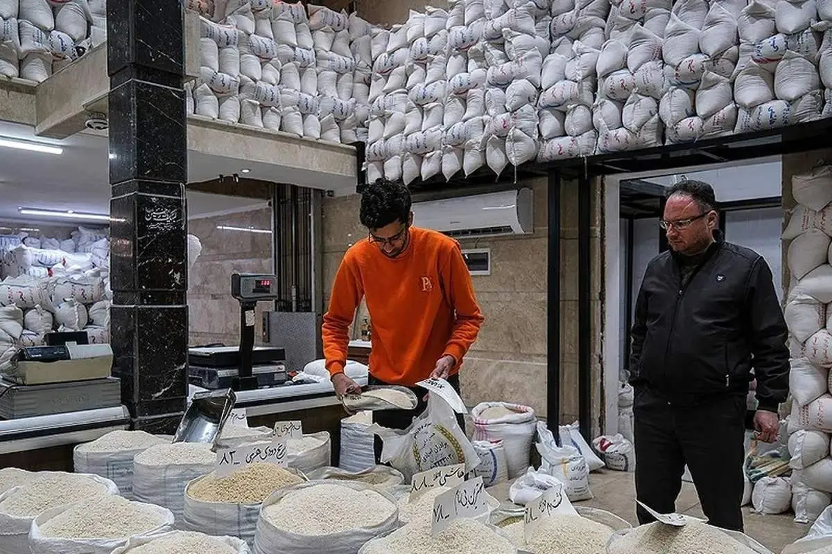 آغاز توزیع برنج ۵۰ هزار تومانی در بازار