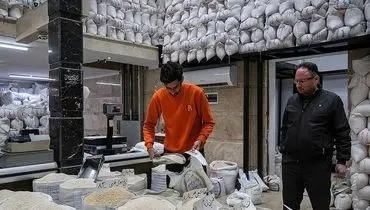 آغاز توزیع برنج ۵۰ هزار تومانی در بازار