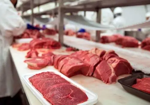 سه دلیل برای کاهش دام کشتار شده؛ مردم منتظر گوشت یک میلیون تومانی باشند؟