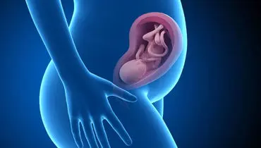 ثبت تصویر میکروسکوپی از جنین انسانی ۹ روزه برای نخستین بار