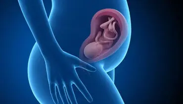ثبت تصویر میکروسکوپی از جنین انسانی ۹ روزه برای نخستین بار