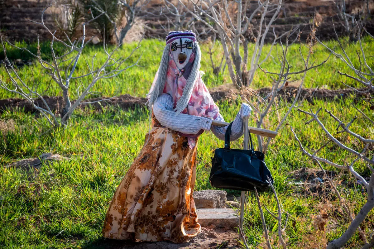 اینجا مزرعه عروسک هاست!