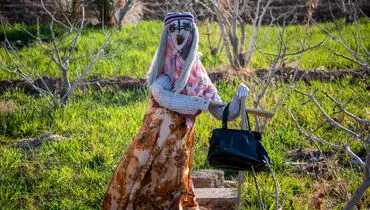 اینجا مزرعه عروسک هاست!