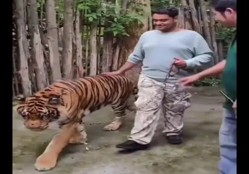 اقدام بی‌رحمانه یک باغ وحش برای قربانی کردن حیوانات!