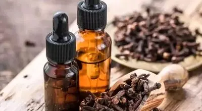 همه چیز درباره روغن میخک + مزایا و اثرات جانبی