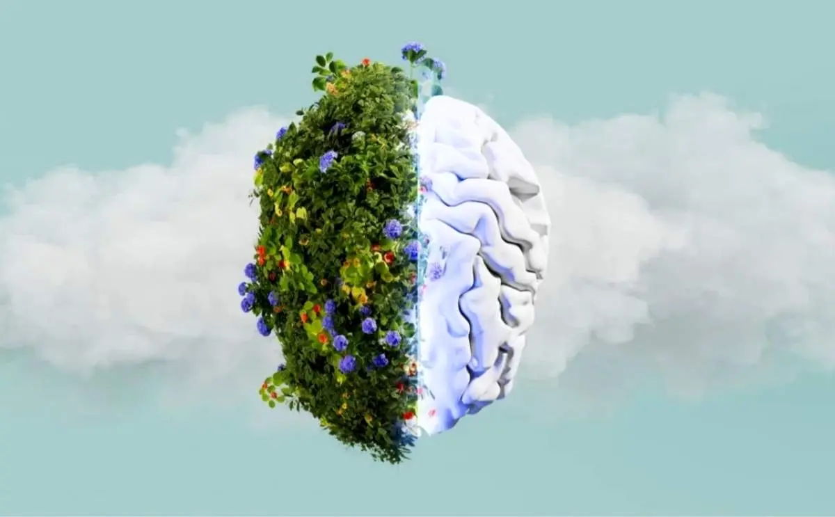 از جنگل تا دریا؛ چرا طبیعت مغز را آرام می‌کند؟