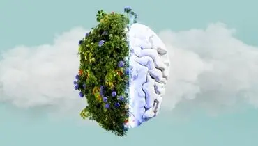 از جنگل تا دریا؛ چرا طبیعت مغز را آرام می‌کند؟