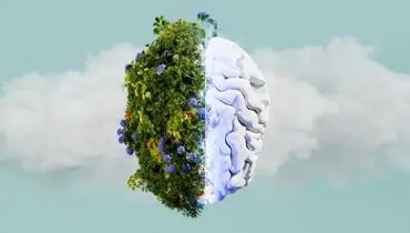 از جنگل تا دریا؛ چرا طبیعت مغز را آرام می‌کند؟