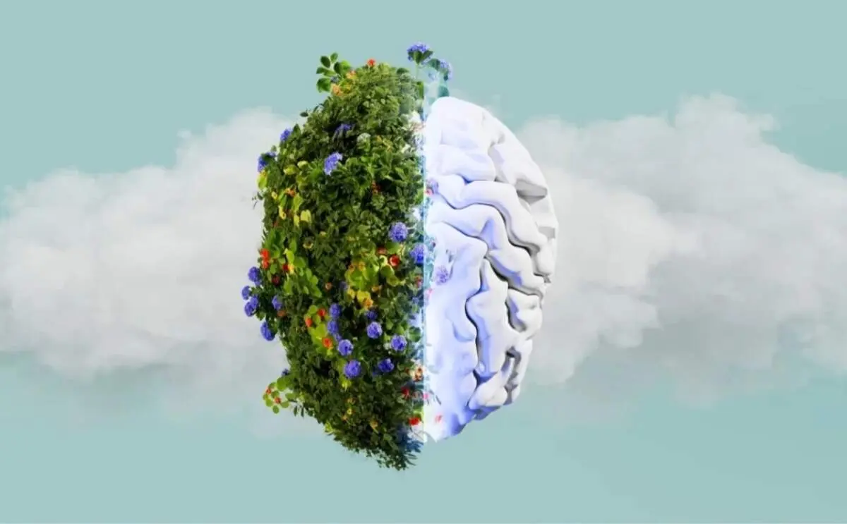 از جنگل تا دریا؛ چرا طبیعت مغز را آرام می‌کند؟