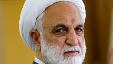 بازخوانی برخی از مفاد مصرح قانون اساسی توسط رئیس عدلیه و تاکید وی بر پاسداری و حراست از اصول قانون اساسی