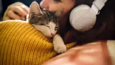 دلیل علمی و عاطفی خوابیدن گربه کنار شما