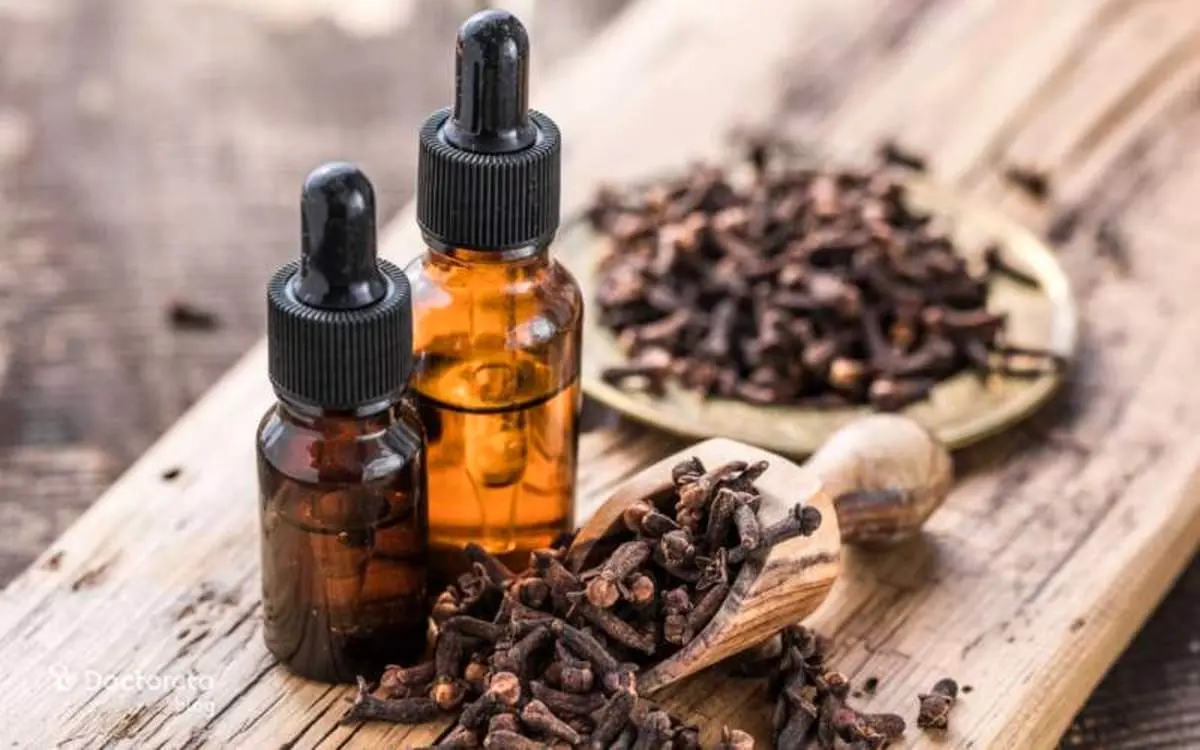 معرفی فواید بی‌نظیر میخک برای سلامتی 
