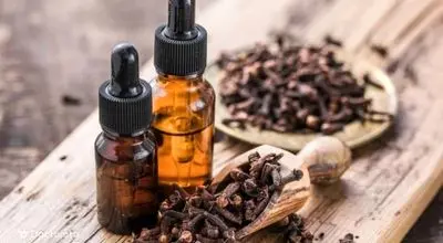 معرفی فواید بی‌نظیر میخک برای سلامتی 
