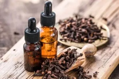 معرفی فواید بی‌نظیر میخک برای سلامتی 
