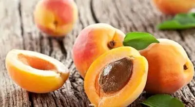 خواص عجیب و باورنکردنی زردآلو و هسته اش