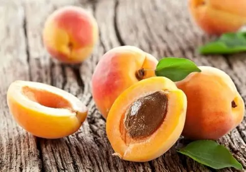 خواص عجیب و باورنکردنی زردآلو و هسته اش