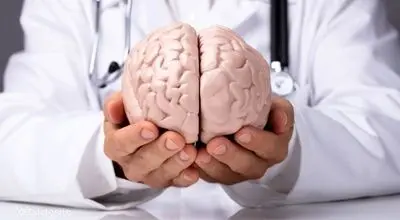 بدون دارو و مکمل؛ راهکارهای علمی برای حفظ عملکرد مغز در سالمندی
