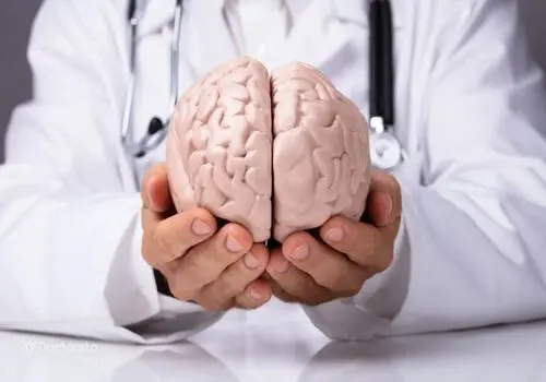 از روده تا مغز: رژیم کتو چگونه مسیر نوروشیمی را تغییر می‌دهد؟