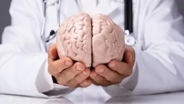 بدون دارو و مکمل؛ راهکارهای علمی برای حفظ عملکرد مغز در سالمندی