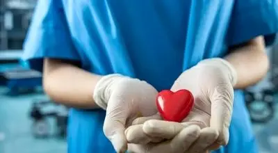 آیا پیوند اعضا می‌تواند فرآیند پیری را متوقف کند؟