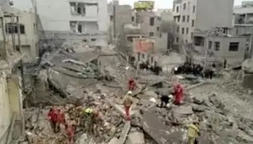 دو عکس دردناک از آوارگی حیوانات خانگی زیر سایه جنگ