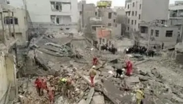 دو عکس دردناک از آوارگی حیوانات خانگی زیر سایه جنگ